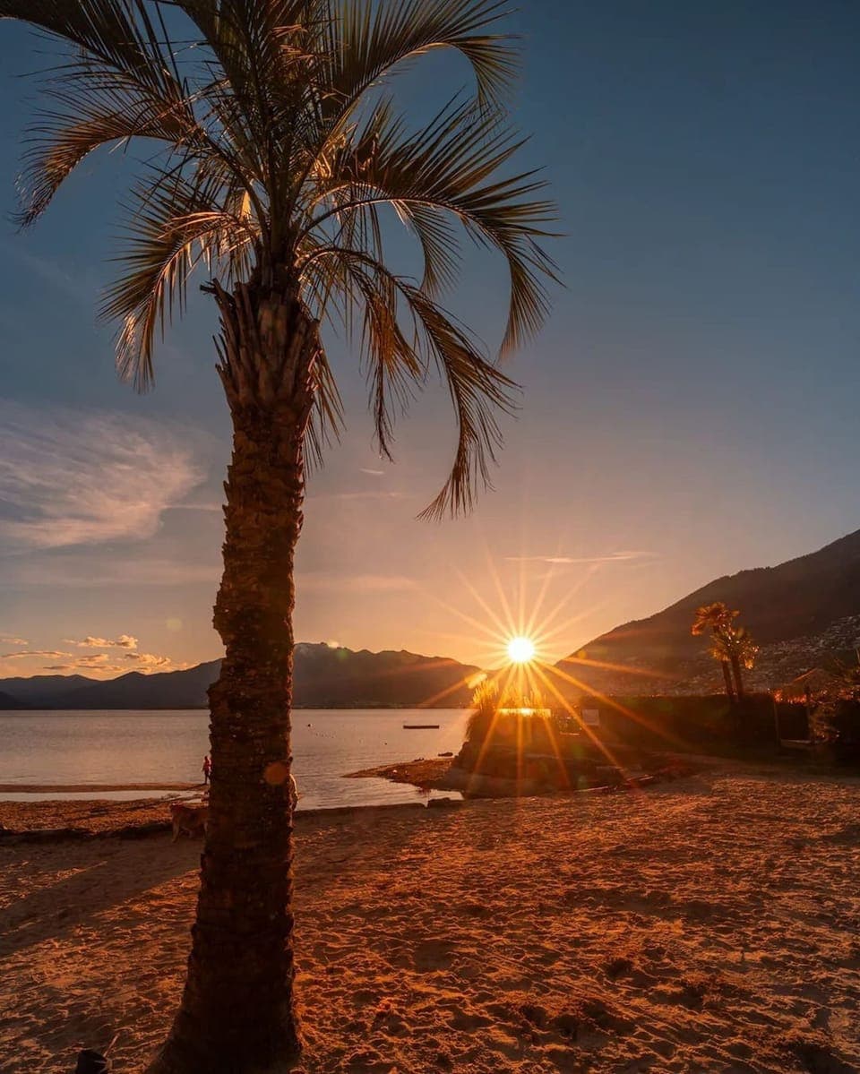 Apartment, 1 Bedroom, City View | Beach