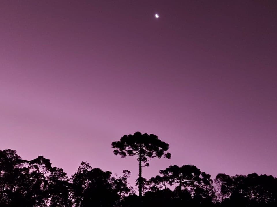 Chalet | Mountain view