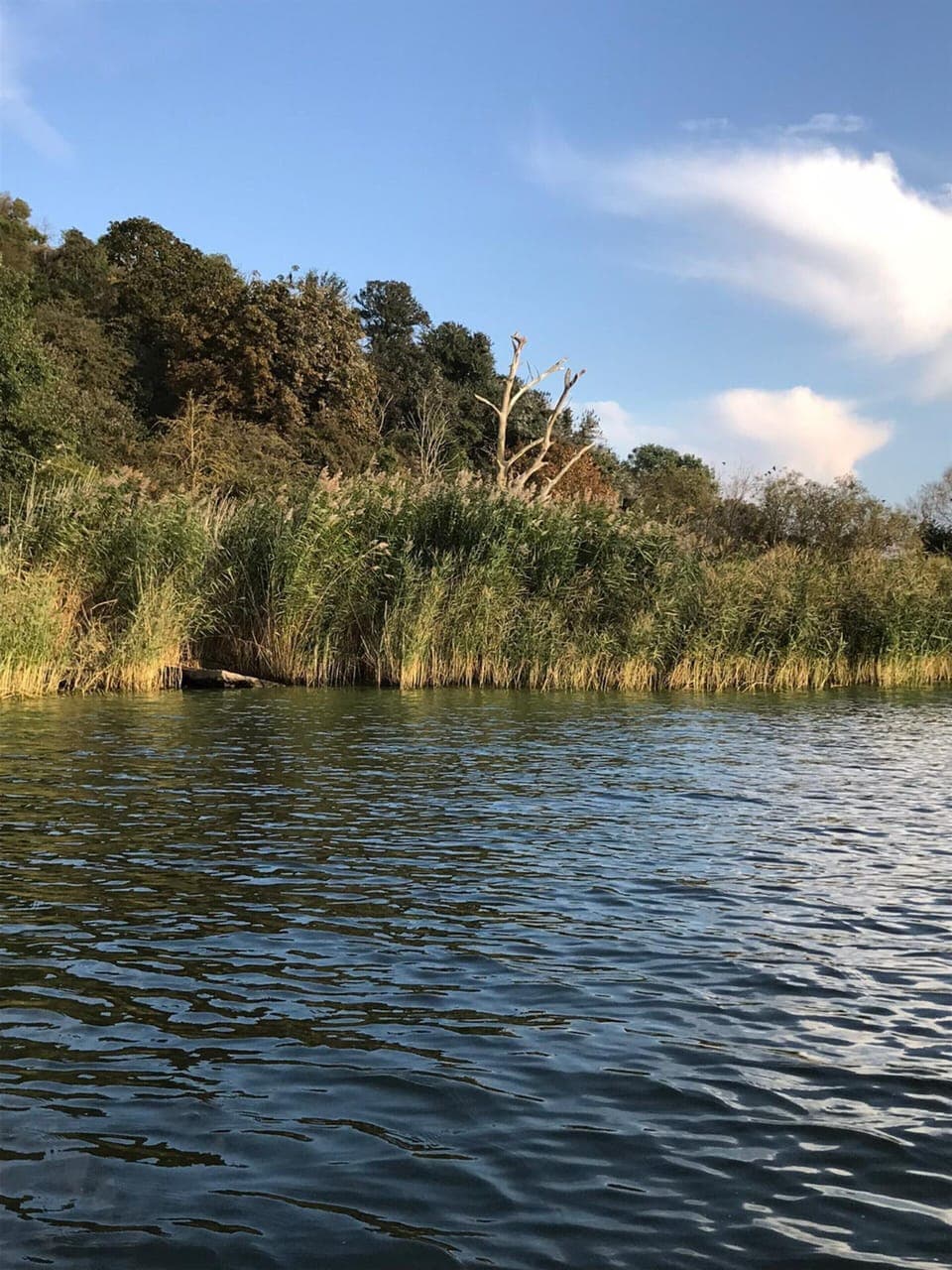 House | View from property