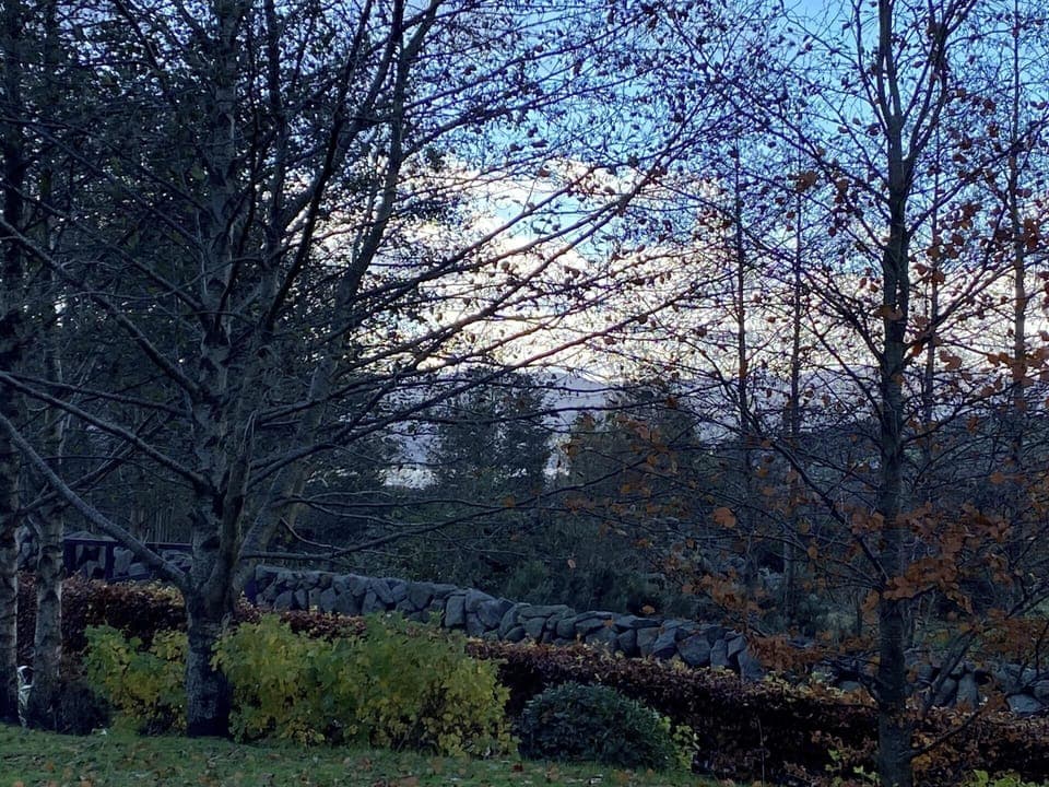 House | Miscellaneous