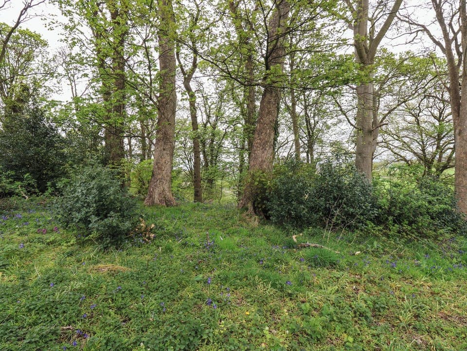 Cottage | Miscellaneous