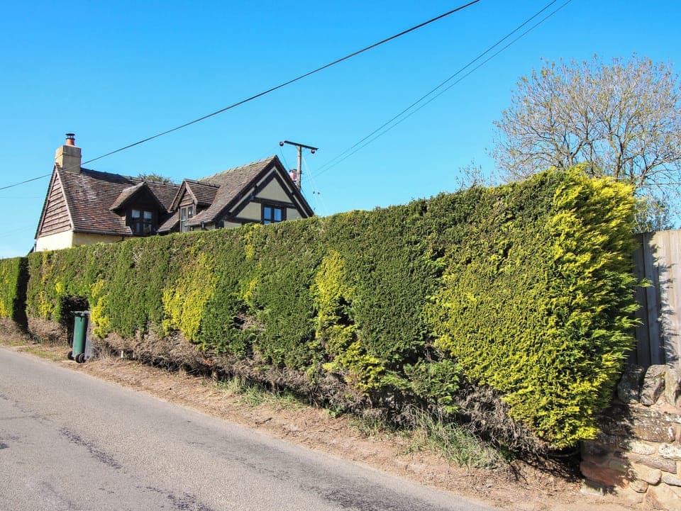 Cottage | Miscellaneous