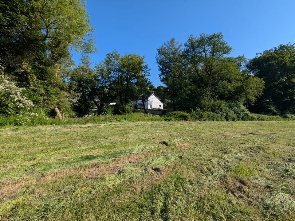 Cottage | Miscellaneous