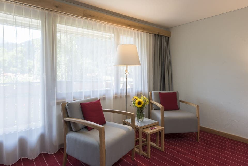 Premium Double Room | Hypo-allergenic bedding, free minibar, in-room safe, desk