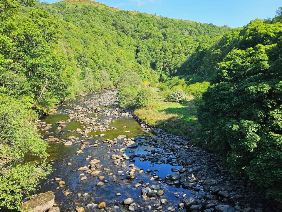 Cottage | Miscellaneous