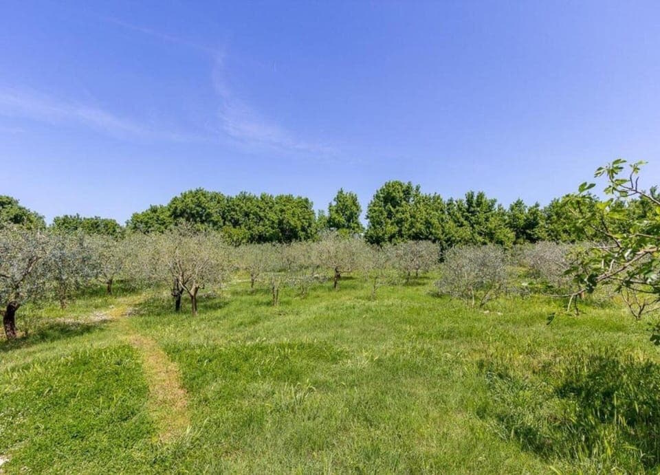 House | View from property