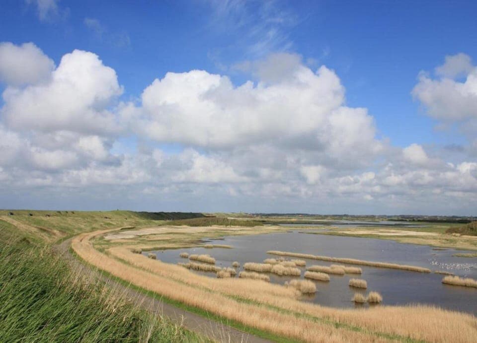 House | View from property