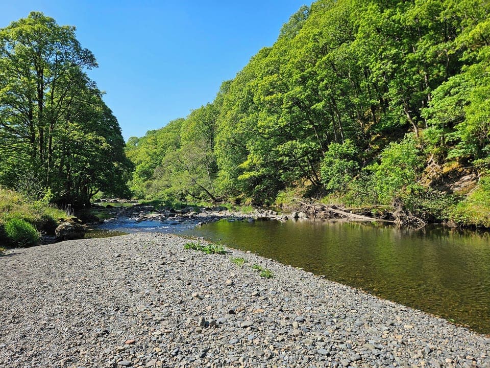 Cottage | Miscellaneous