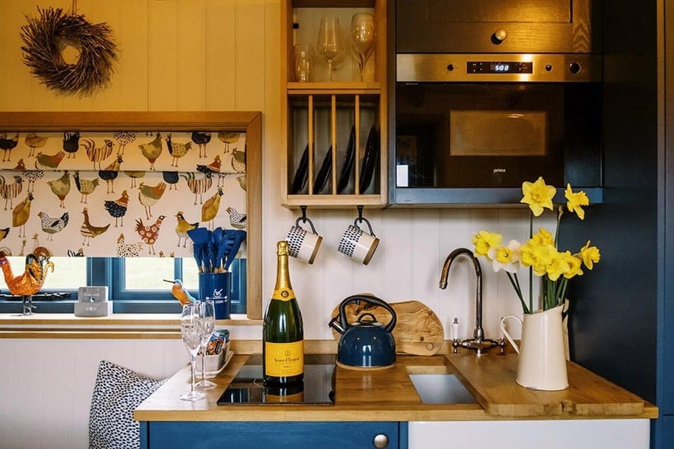 Fridge, microwave, stovetop, electric kettle