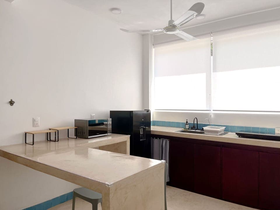 Fridge, microwave, stovetop, blender