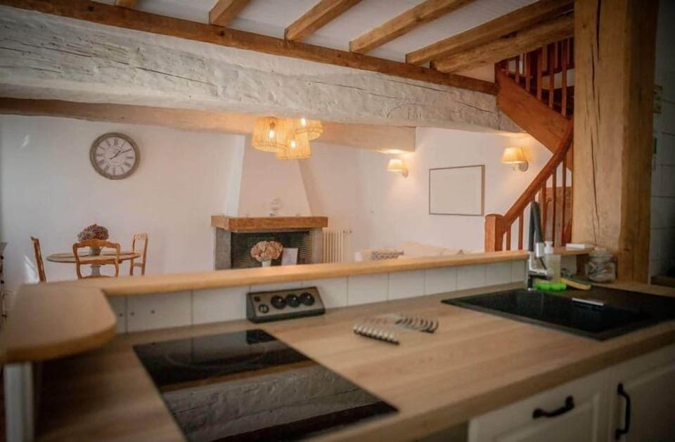 Classic Apartment, Garden View | Private kitchen