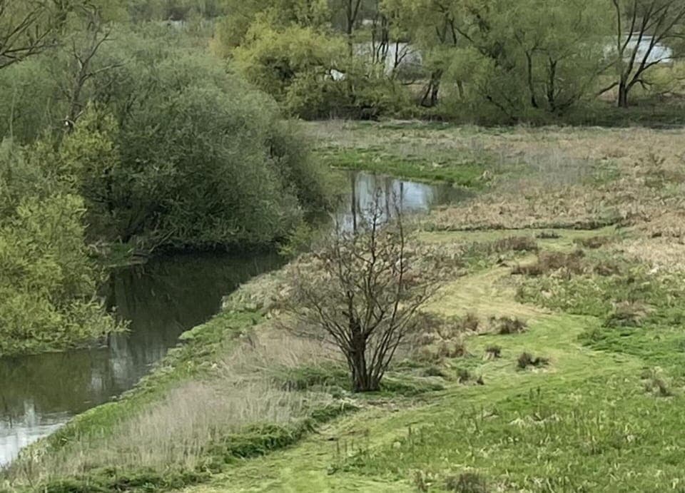 Tent | View from property