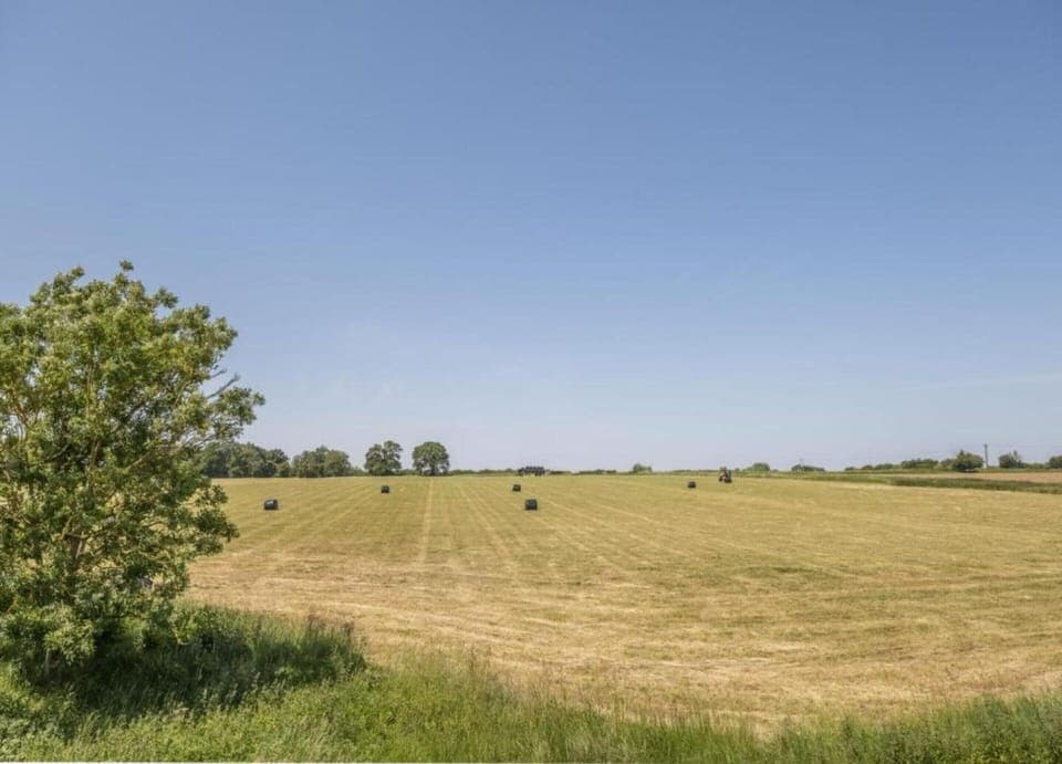 Tent | View from property