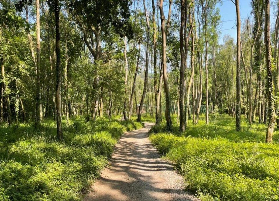 Cottage | View from property