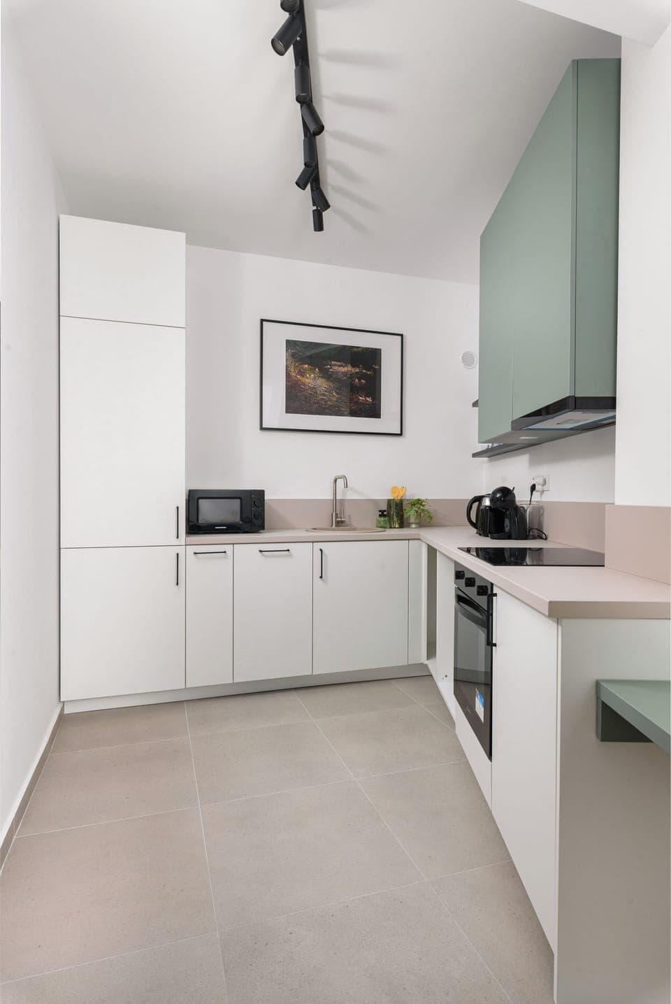 Superior Apartment, Balcony, City View | Private kitchen | Full-size fridge, microwave, oven, stovetop