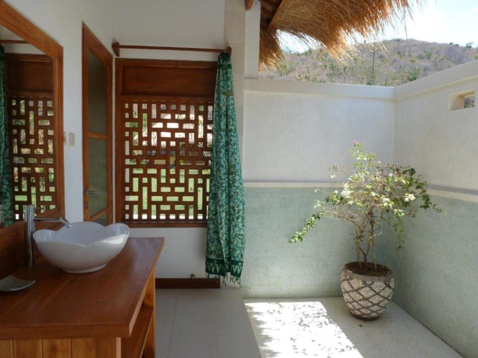 Shower, free toiletries, towels