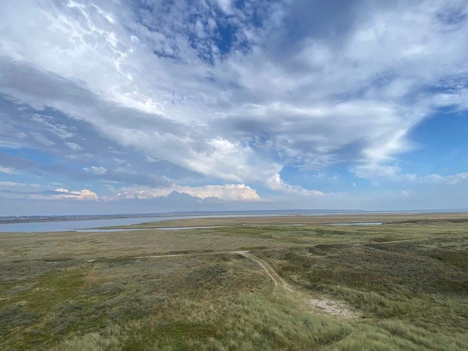 House | Miscellaneous