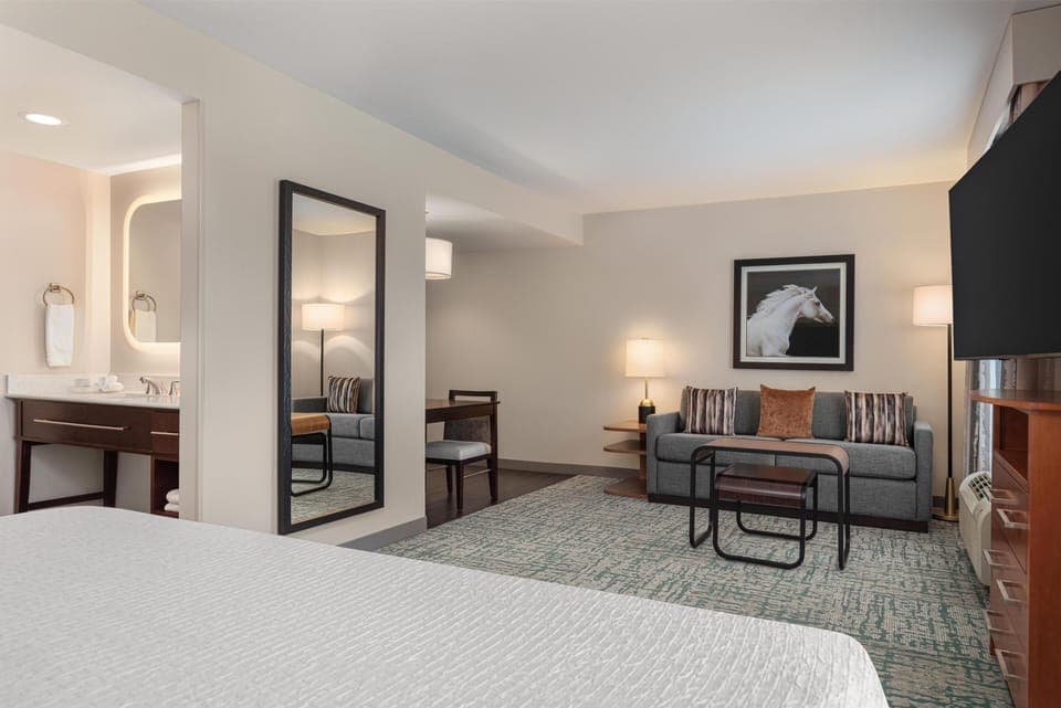 Studio Suite, 1 King Bed, Non Smoking | Living area | 50-inch flat-screen TV with satellite channels, TV