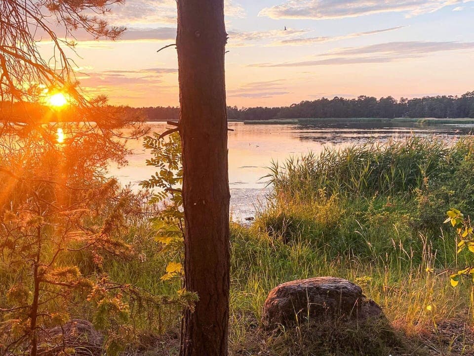 House | Miscellaneous