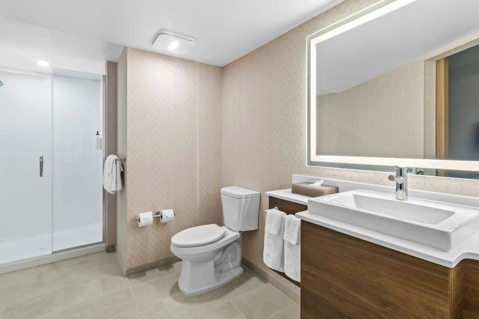 Suite, 1 King Bed with Sofa bed | Bathroom | Shower, hair dryer, towels, soap