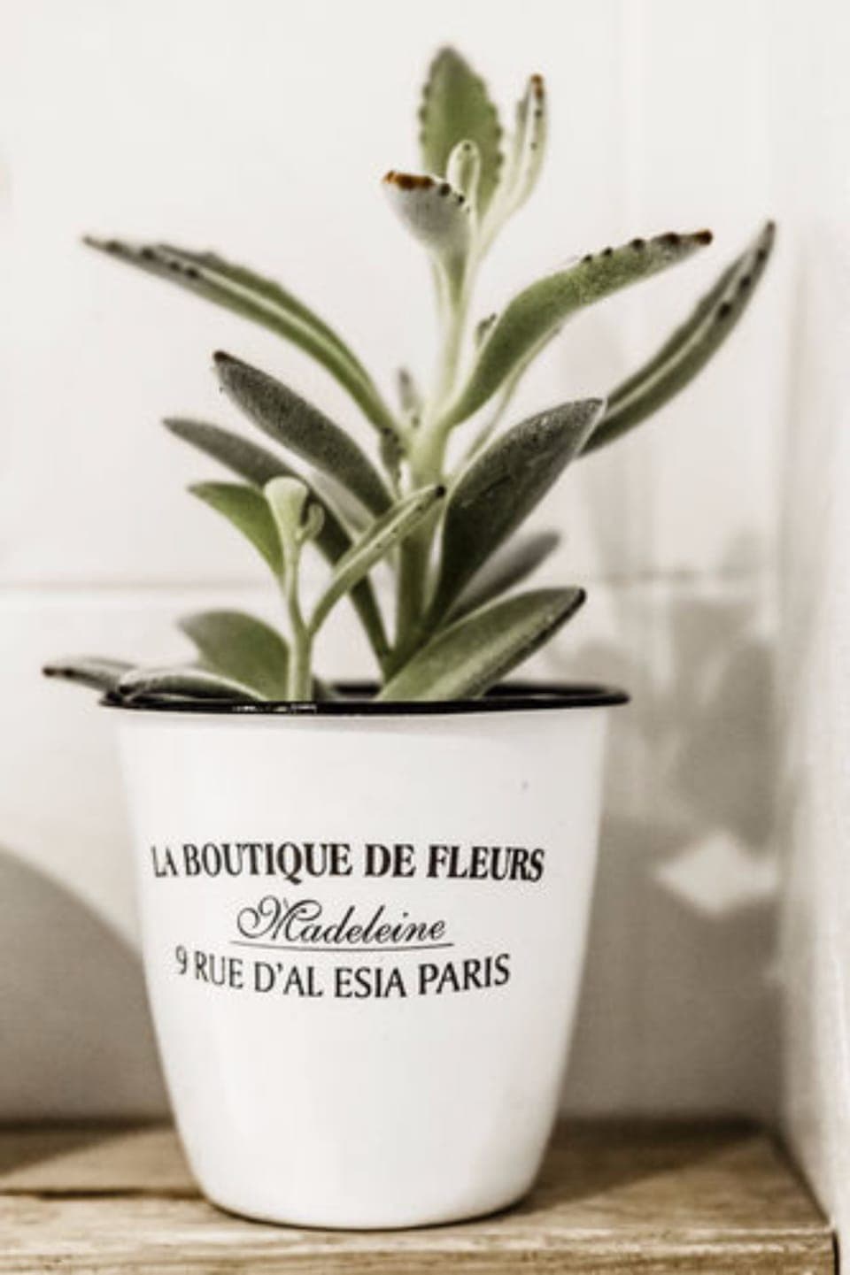 Desk, cribs/infant beds, free WiFi, bed sheets