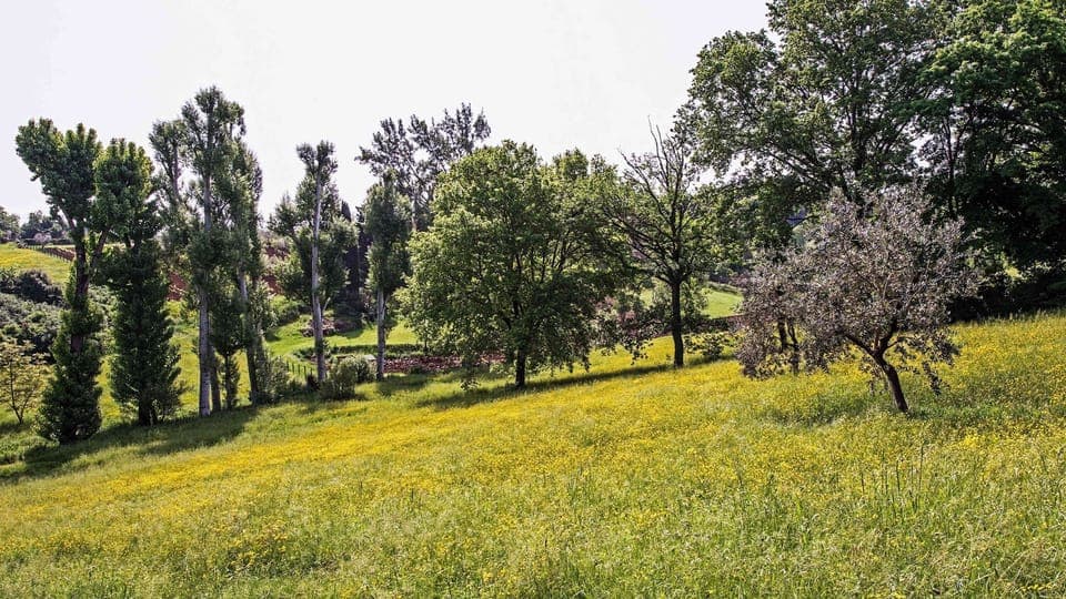 Apartment | 1 bedroom, Internet