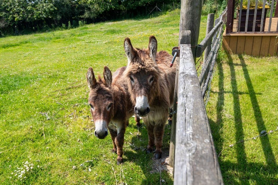 House, Accessible | 6 bedrooms