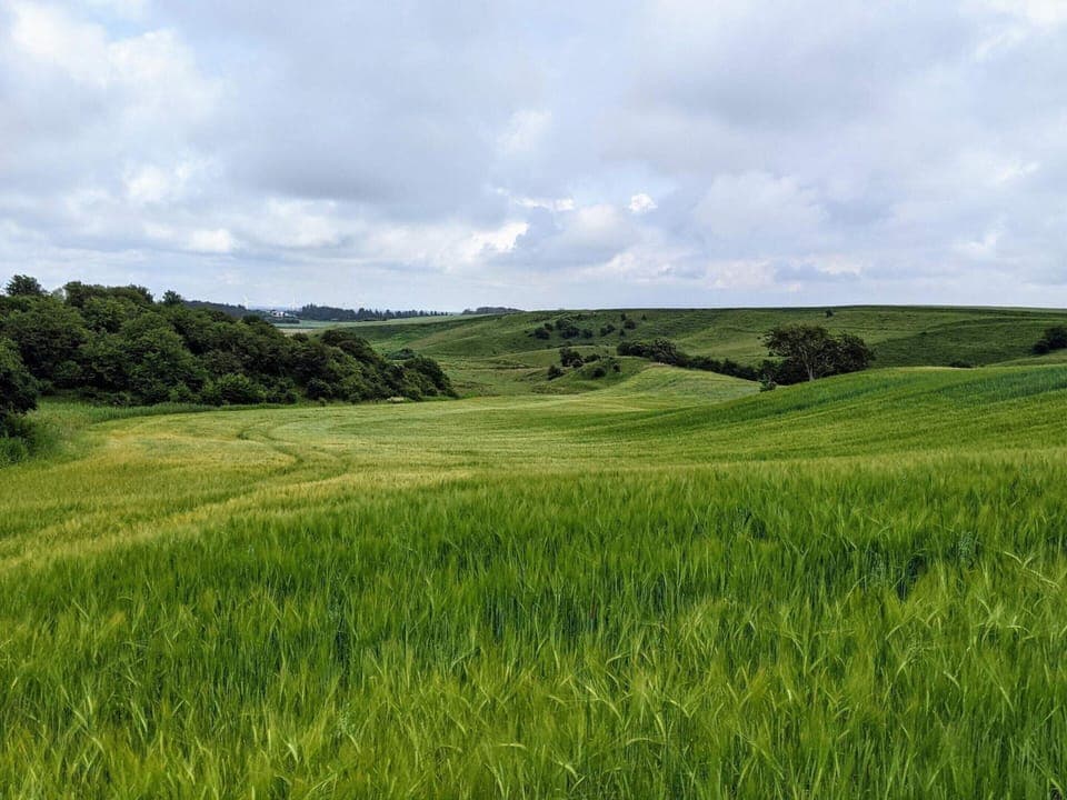 House | Miscellaneous