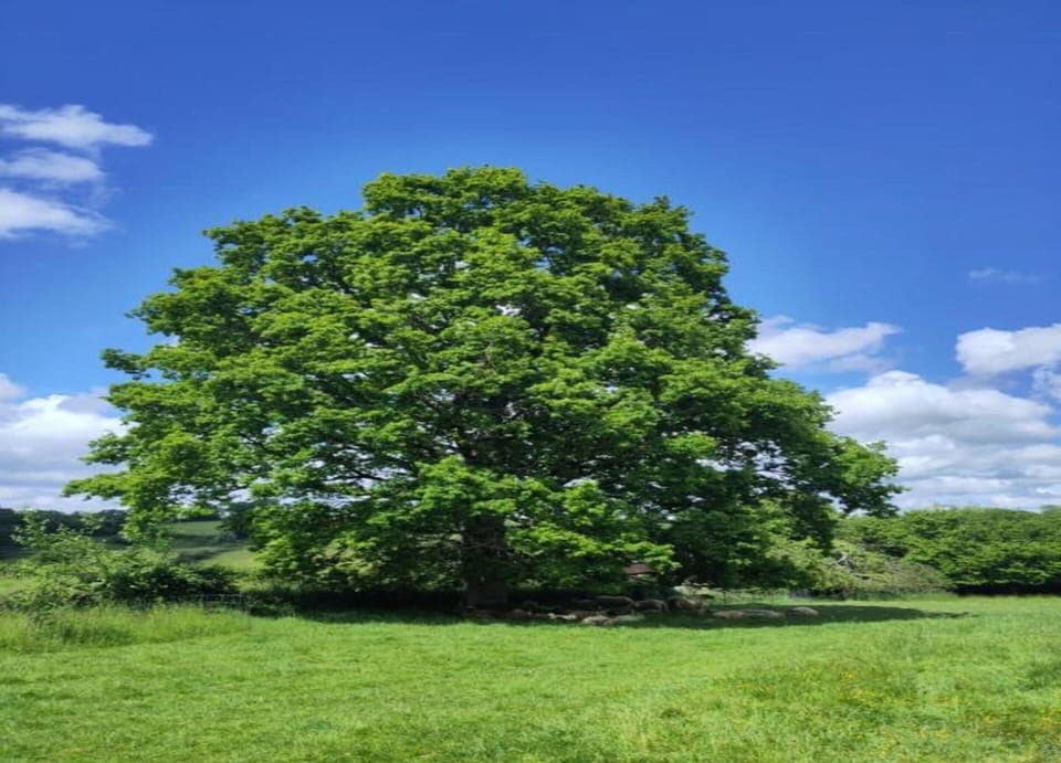 Mobile Home | View from property
