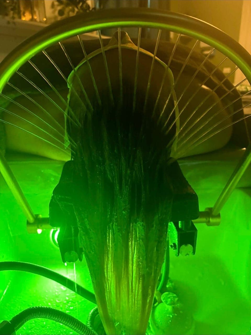 Hydrotherapy, aromatherapy, deep-tissue massages, Swedish massages