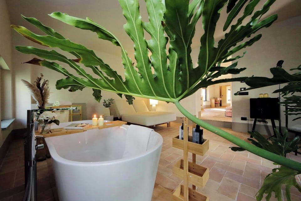 Suite | Down comforters, pillowtop beds, individually decorated