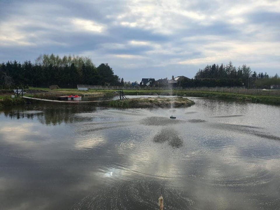 House | Food and drink