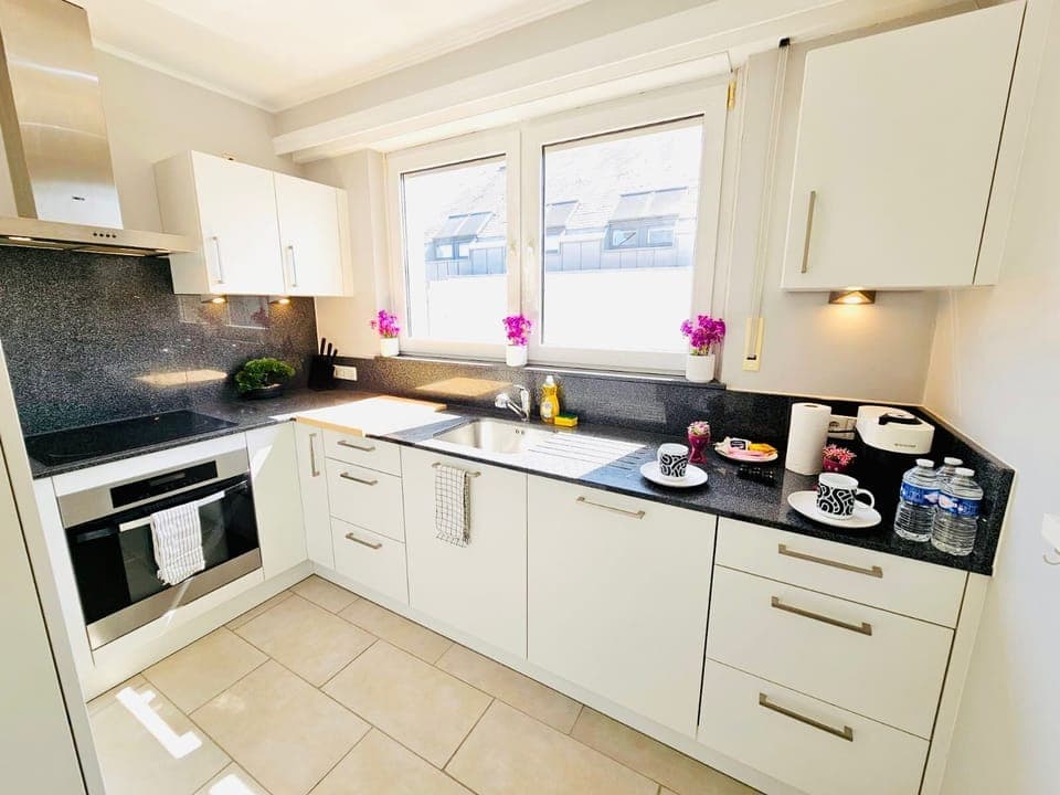 Stovetop, dishwasher, cookware/dishes/utensils, paper towels