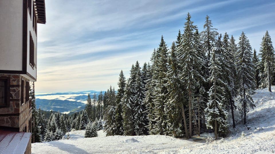 Studio, Multiple Bedrooms, Accessible, Smoking | View from property