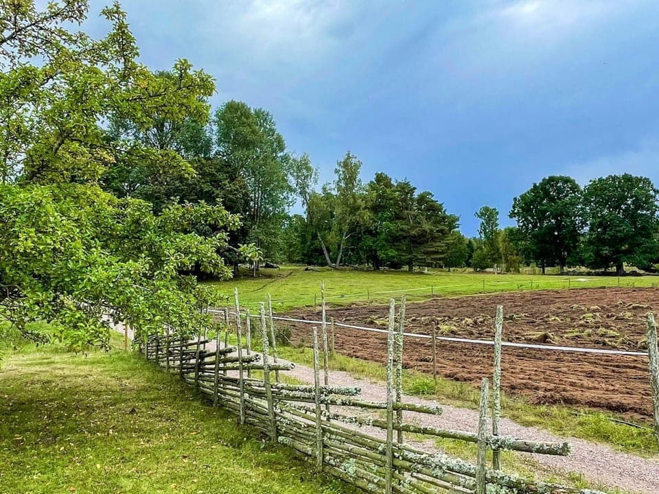 House | Miscellaneous