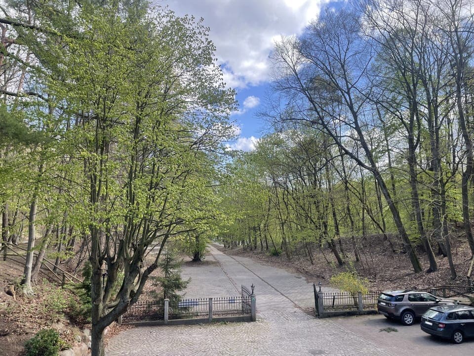 Suite | View from room