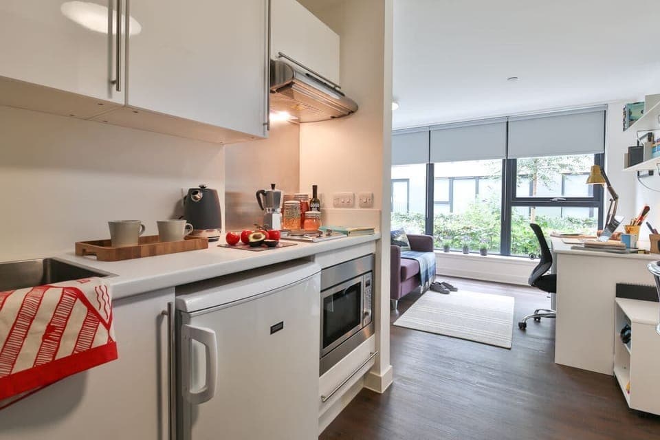 Studio, Non Smoking | Private kitchen