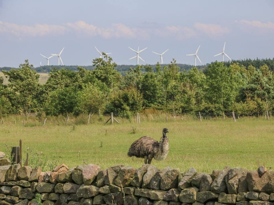 House, 5 Bedrooms, Balcony, Garden View | Exterior
