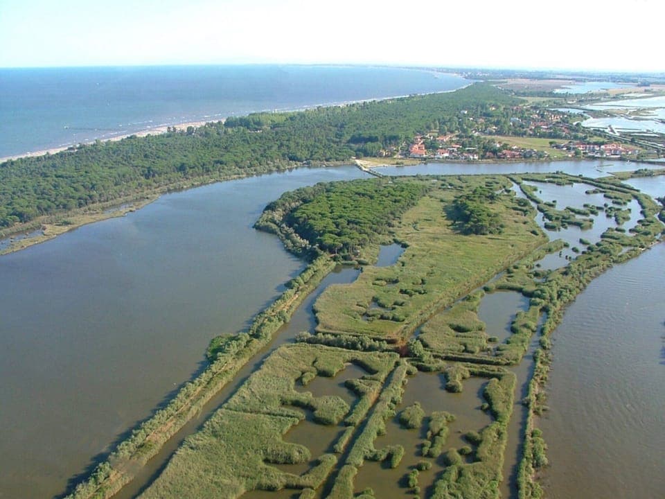 Apartment, 1 Bedroom, Balcony, City View | View from property