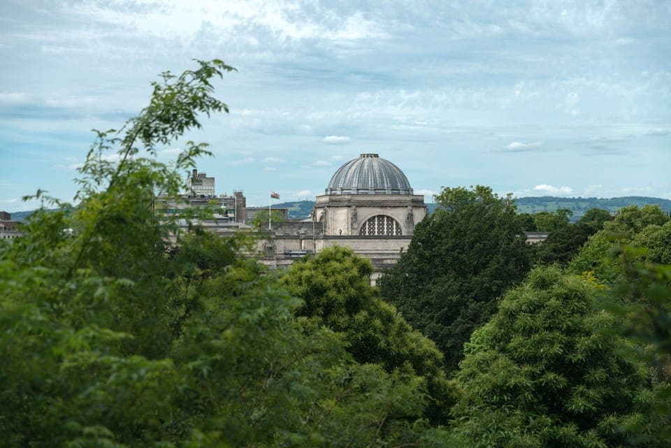 Superior Room, 1 King Bed (Tree Line View) | In-room safe, desk, iron/ironing board, travel crib