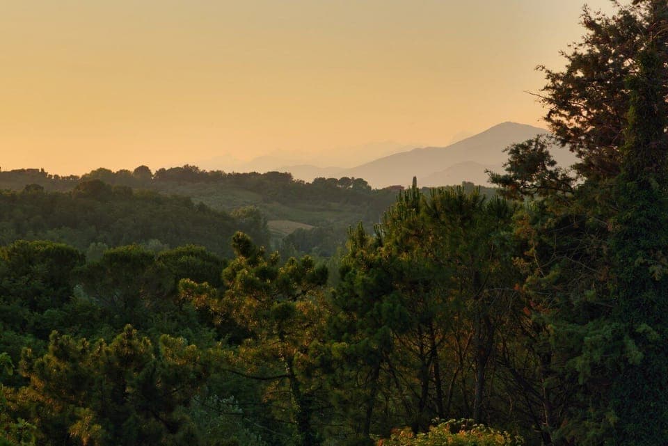 Land view from property