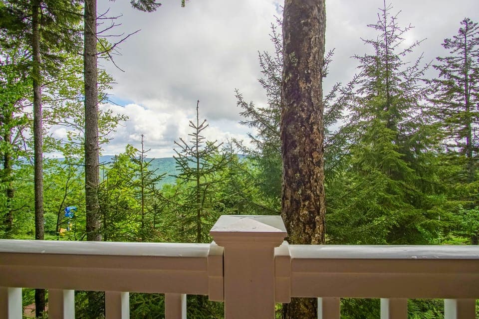 House, 1 Queen Bed with Sofa bed, Balcony, Mountain View (1 Br: Stemwinder 6B) | View from room
