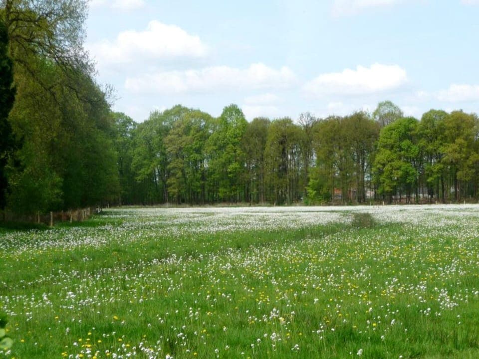 House | View from property