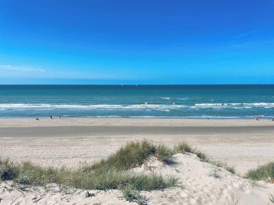 Studio, 1 Bedroom, Accessible, Smoking | Beach