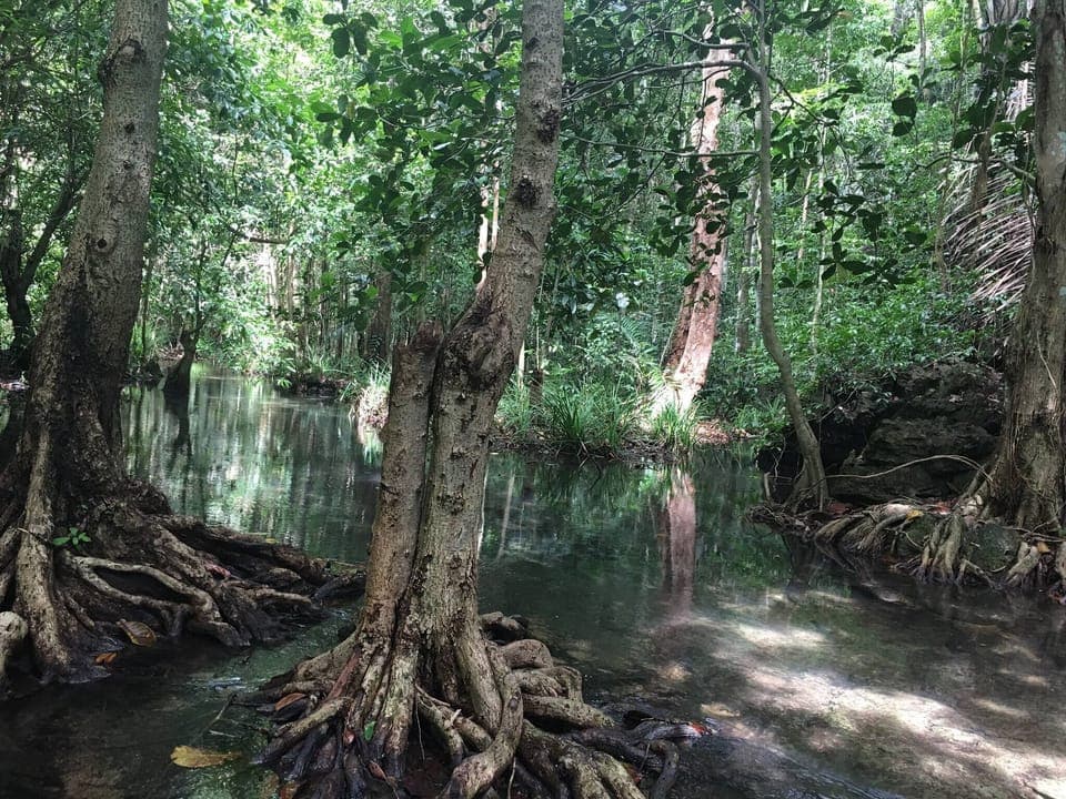 House, 1 Bedroom, Accessible, Smoking | Miscellaneous