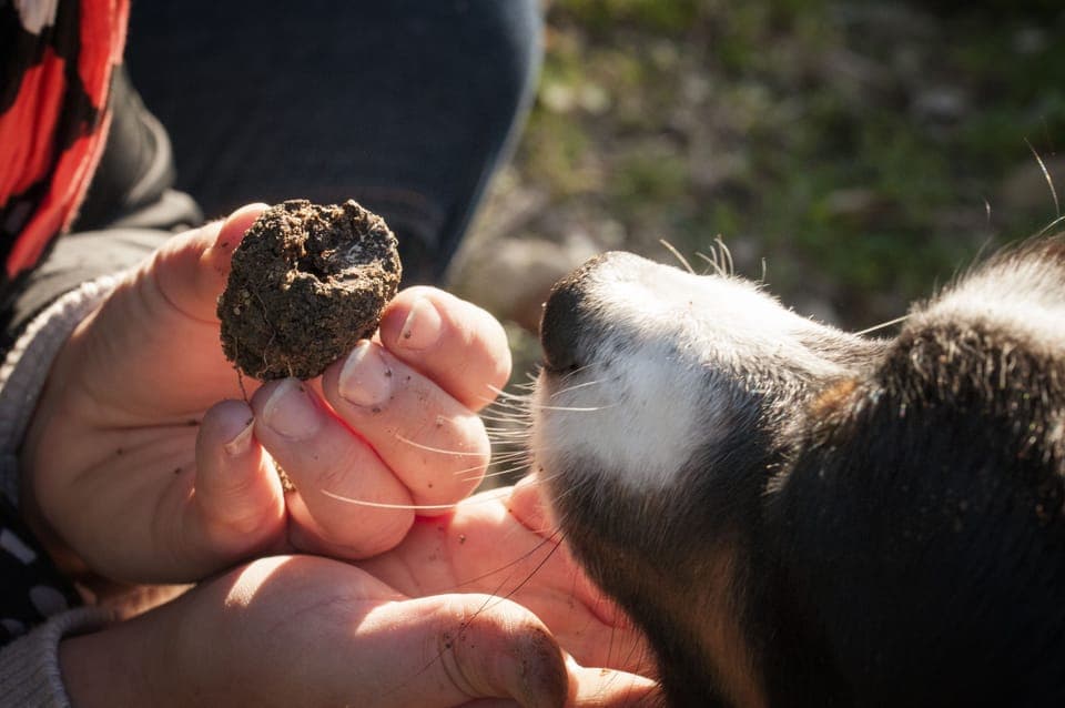 Children's activities