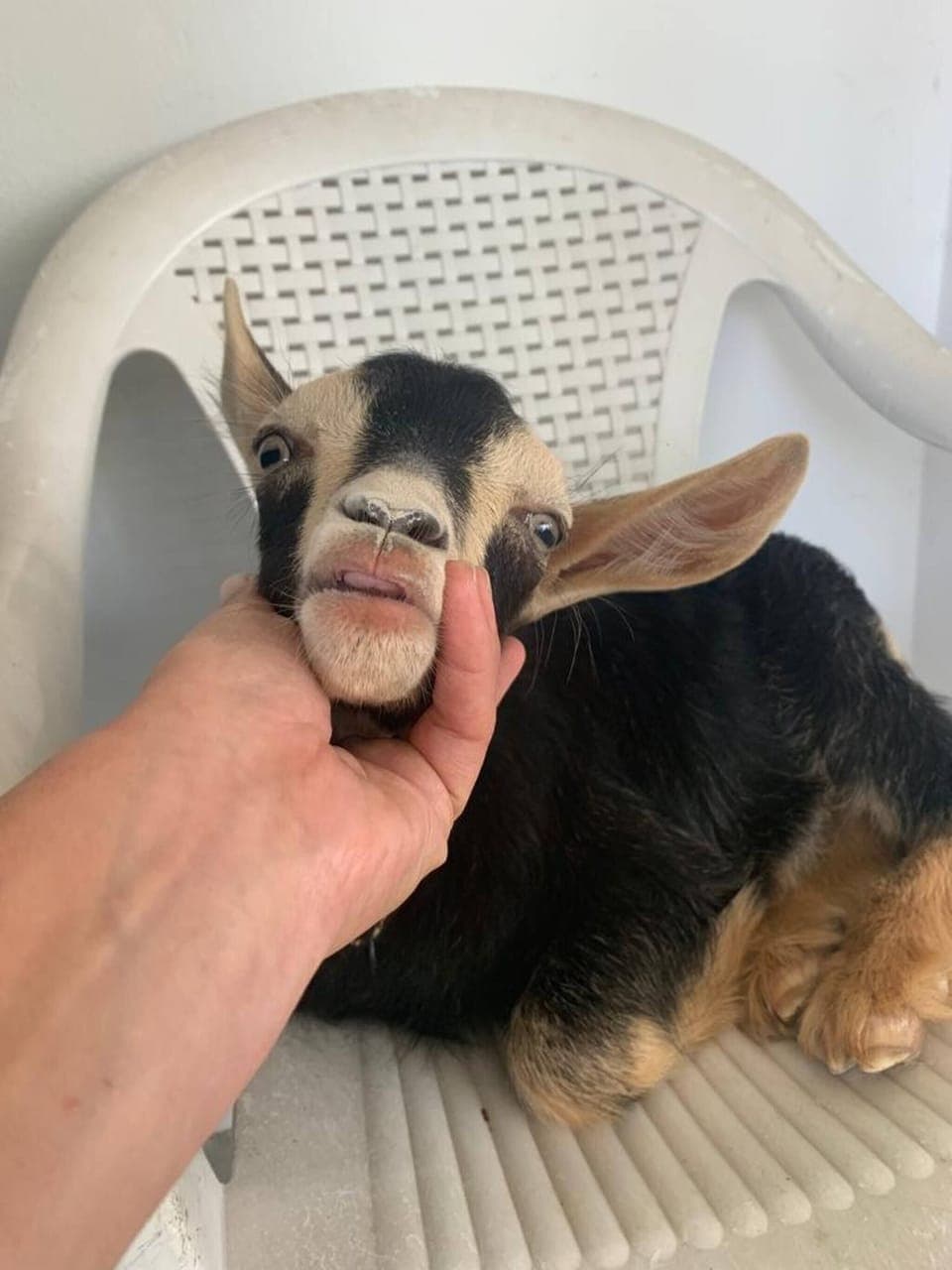 Studio, 1 Bedroom, Smoking, Balcony | Miscellaneous