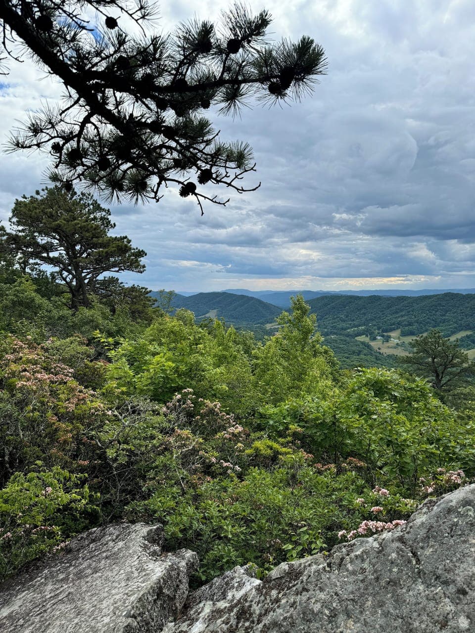 Hiking