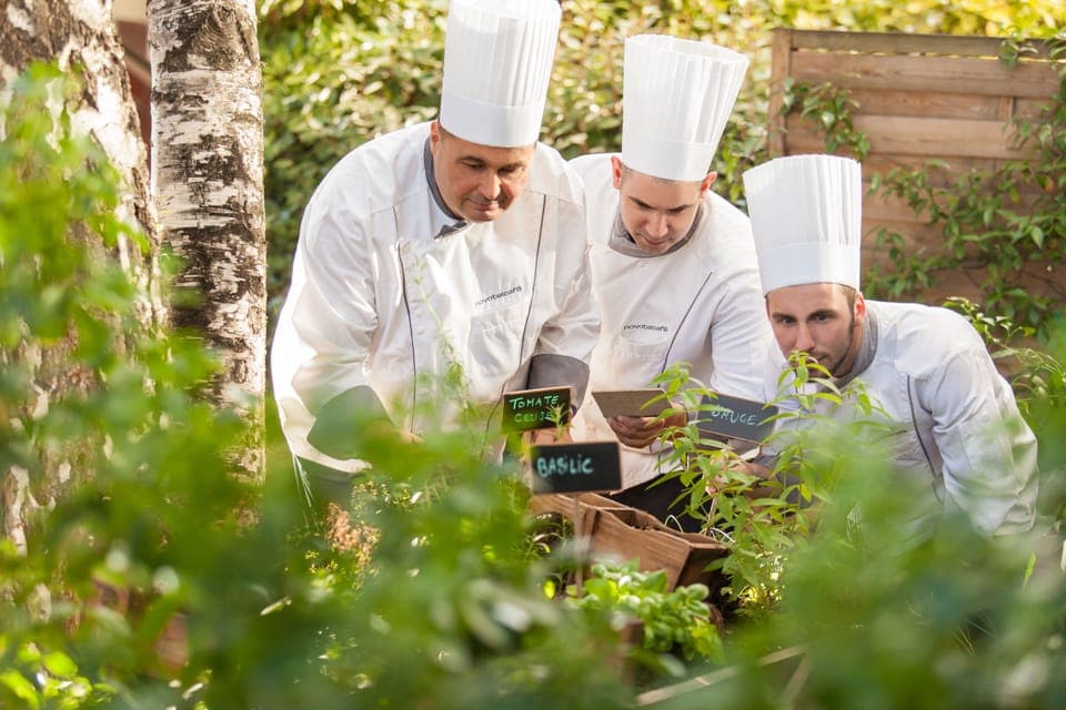 Breakfast, lunch, dinner served; French cuisine 