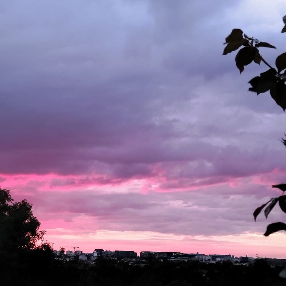 City view from property